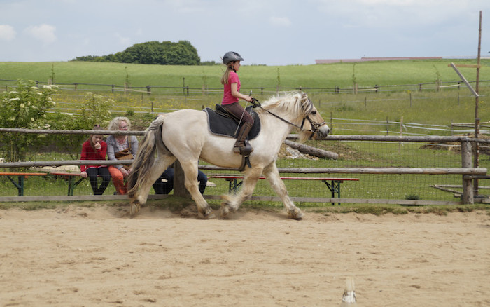 Teilnehmerin eines Reitlagers beim Reiten auf einer auf einer Koppel