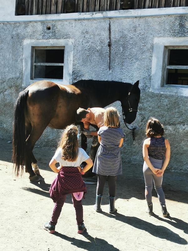 Kinder des Ferienlagers Baden-Württemberg haben zusammen Reitunterricht