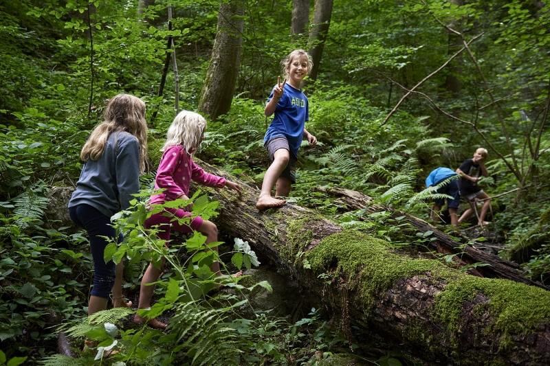 Kinder des Survival-Camps gehen wandern