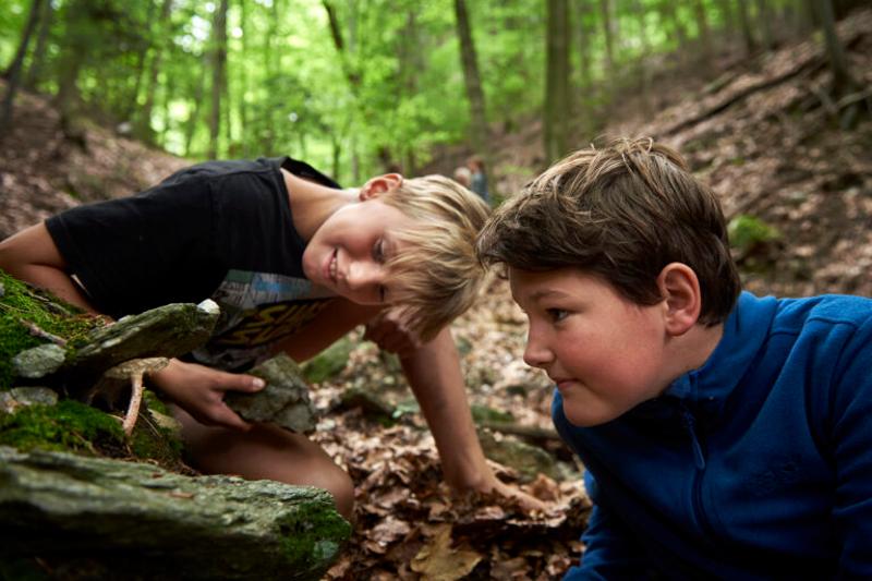 Zwei Jungen finden während ihres Offline-Camps im Wald einen Pilz an einem Baumstumpf