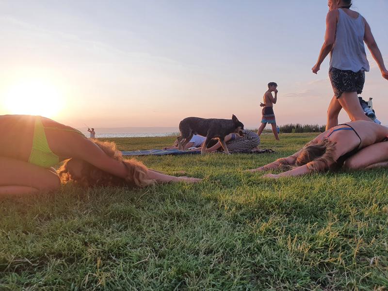 Im Ferienlager Bern machen die Kinder Yoga auf einer Wiese