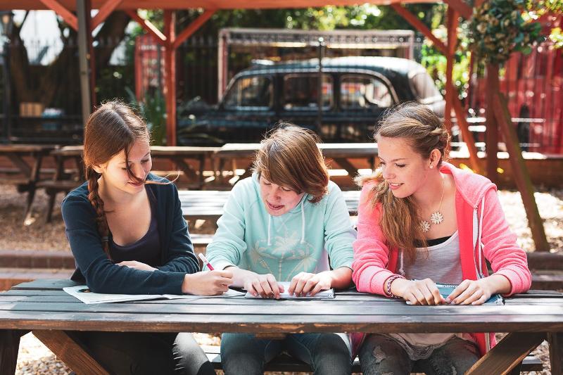Mehrere Kinder lernen zusammen auf einer Parkbank