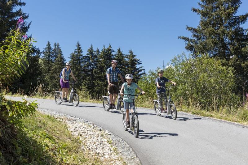 Mache in den Ferien nächstes Jahr eine Radtour
