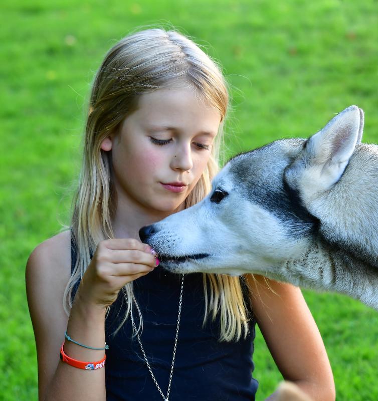 Im Mädchen Huskycamp könnt ihr eine tolle Zeit verbringen und den Tieren ganz nah kommen