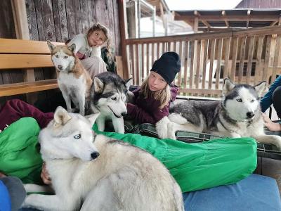 Wochenend-Huskycamp in Österreich - Linz-Wels