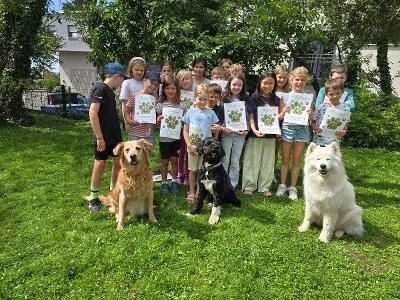 Hundeführerschein Winterthur Frühjahr - Juvigo