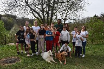 Hundeführerschein Zürich Sommer - Juvigo