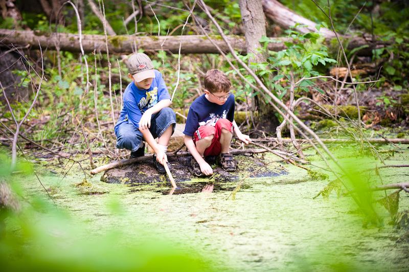 Naturcamps 2026